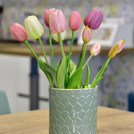 Maison Matie 住宿加早餐酒店 埃尔科拉诺